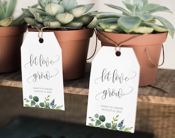 baby shower succulent tags