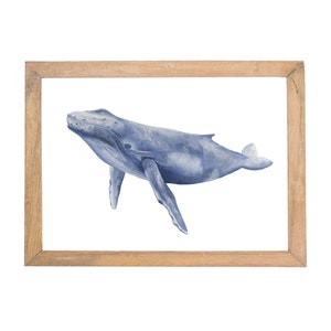 Watercolour Humpback Whale Print / Watercolor Home Decor /Watercolour Wall Art