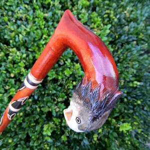 May include: A wooden walking stick with a red, brown and black finish. The top of the stick is carved into the shape of a fish with a white eye.
