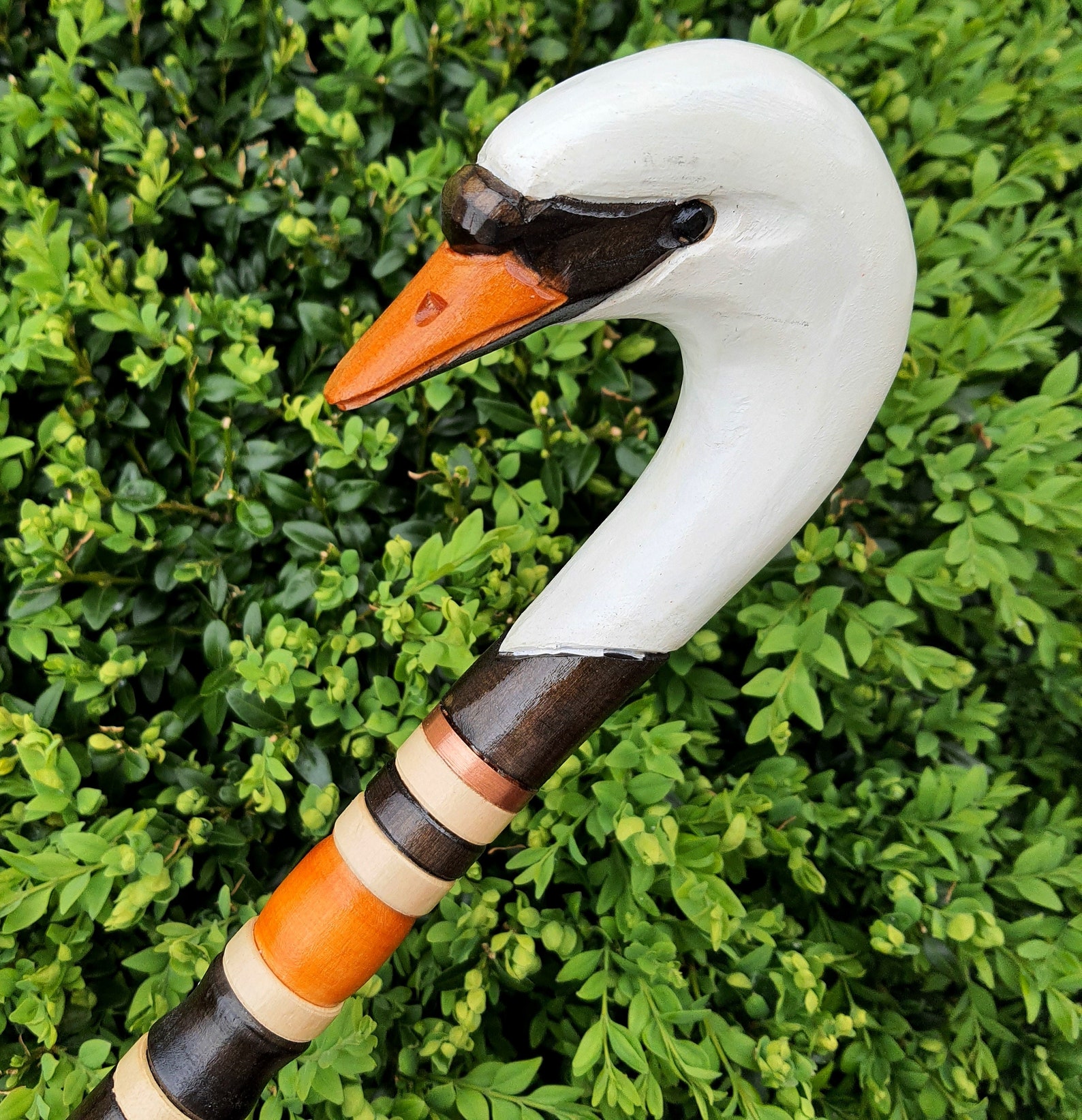 Walking Stick Canes Reed Wood Wooden Handcarved Carving Etsy