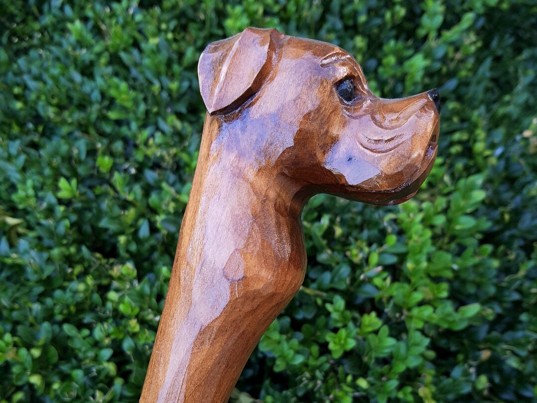 Cane Walking Stick Canes Sticks Reed Staff Wood Wooden Handcarved