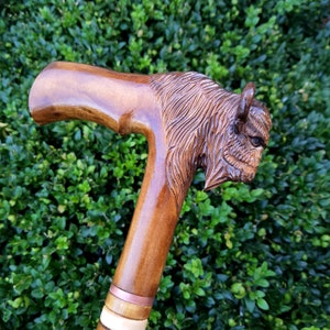 May include: A wooden walking stick with a carved buffalo head at the top. The stick is brown with a copper band near the bottom.