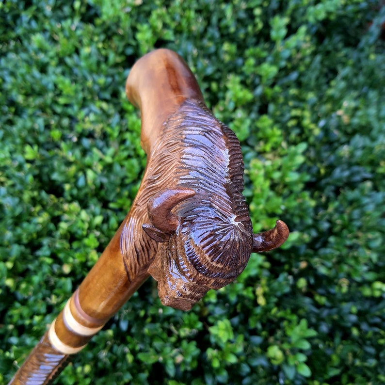 May include: A wooden walking stick with a carved buffalo head at the top. The stick is brown with white accents.