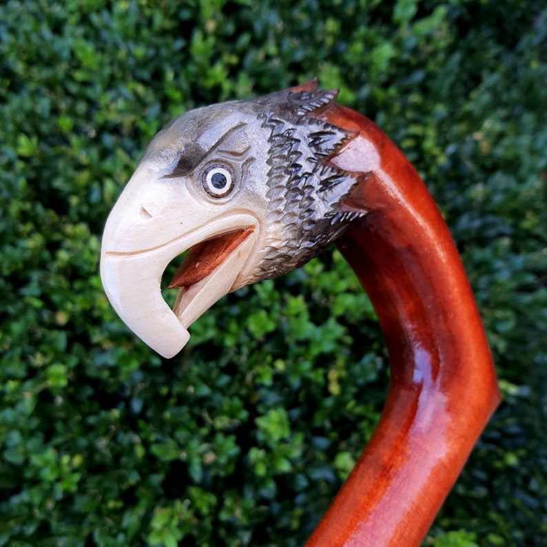 May include: A walking stick with a carved eagle head. The eagle's head is painted in shades of grey, white, and black, with a red beak and a black eye. The stick is made of reddish-brown wood.