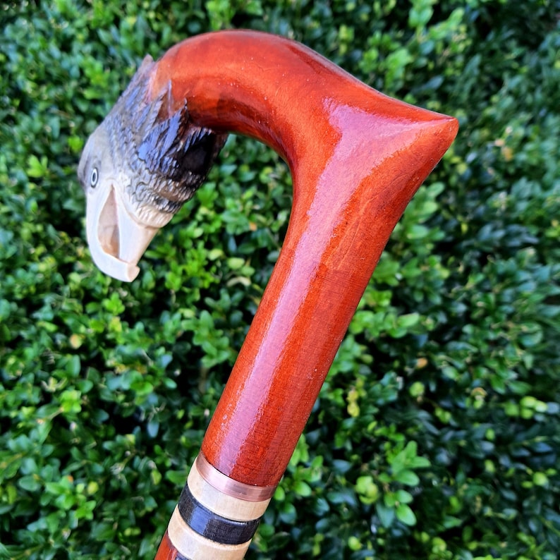 May include: A wooden walking stick with a carved fish head handle. The stick is stained a rich reddish brown and has a copper band and black and white accents.