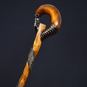 Puede incluir: Un bast&oacute;n de madera con un mango &uacute;nico y tallado intrincadamente. El mango tiene forma de serpiente con un anillo en la parte superior. El bast&oacute;n est&aacute; hecho de madera oscura con un acabado marr&oacute;n claro.