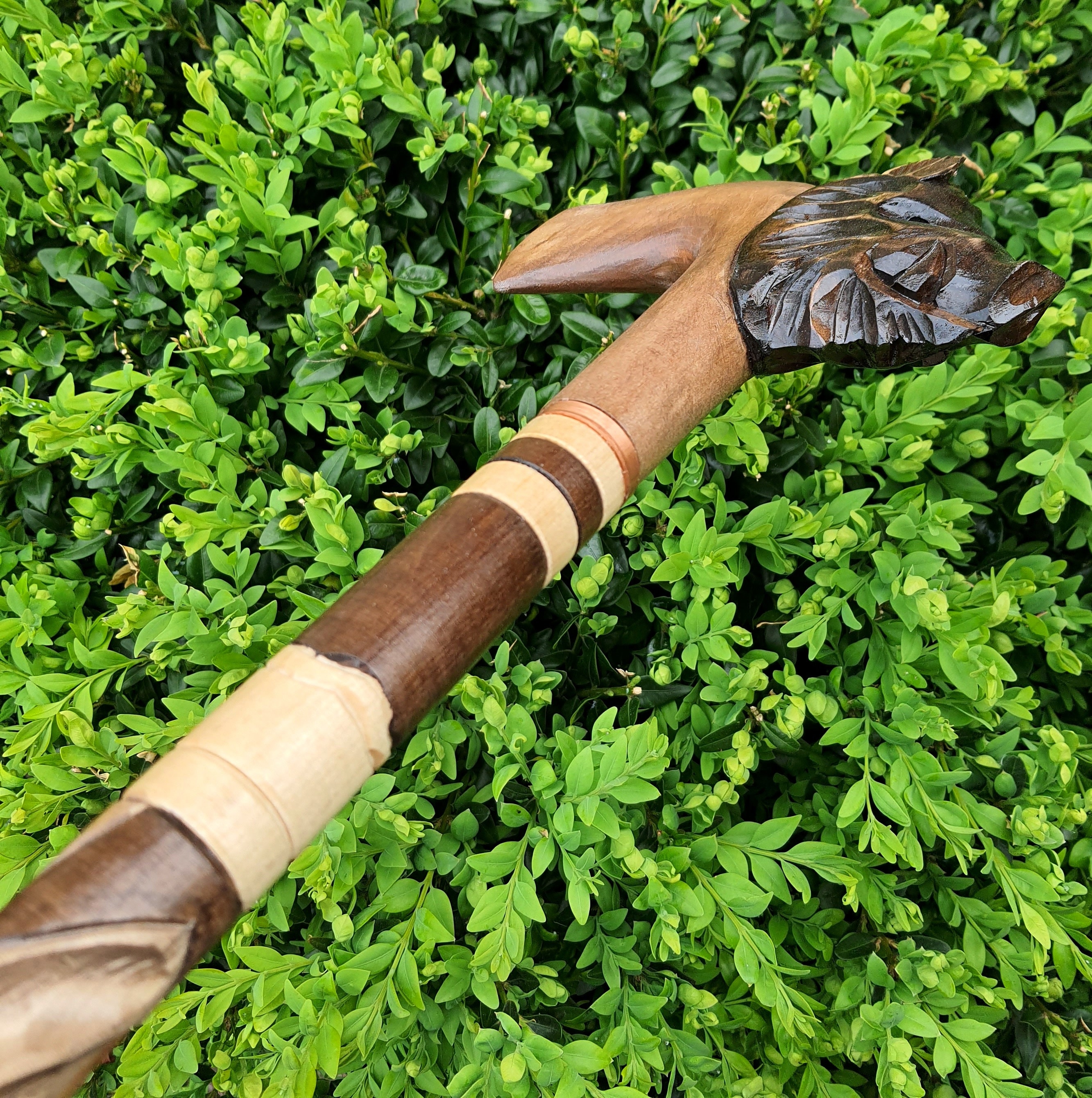 Walking Stick Canes Reed Wood Wooden Handcarved Carving Etsy