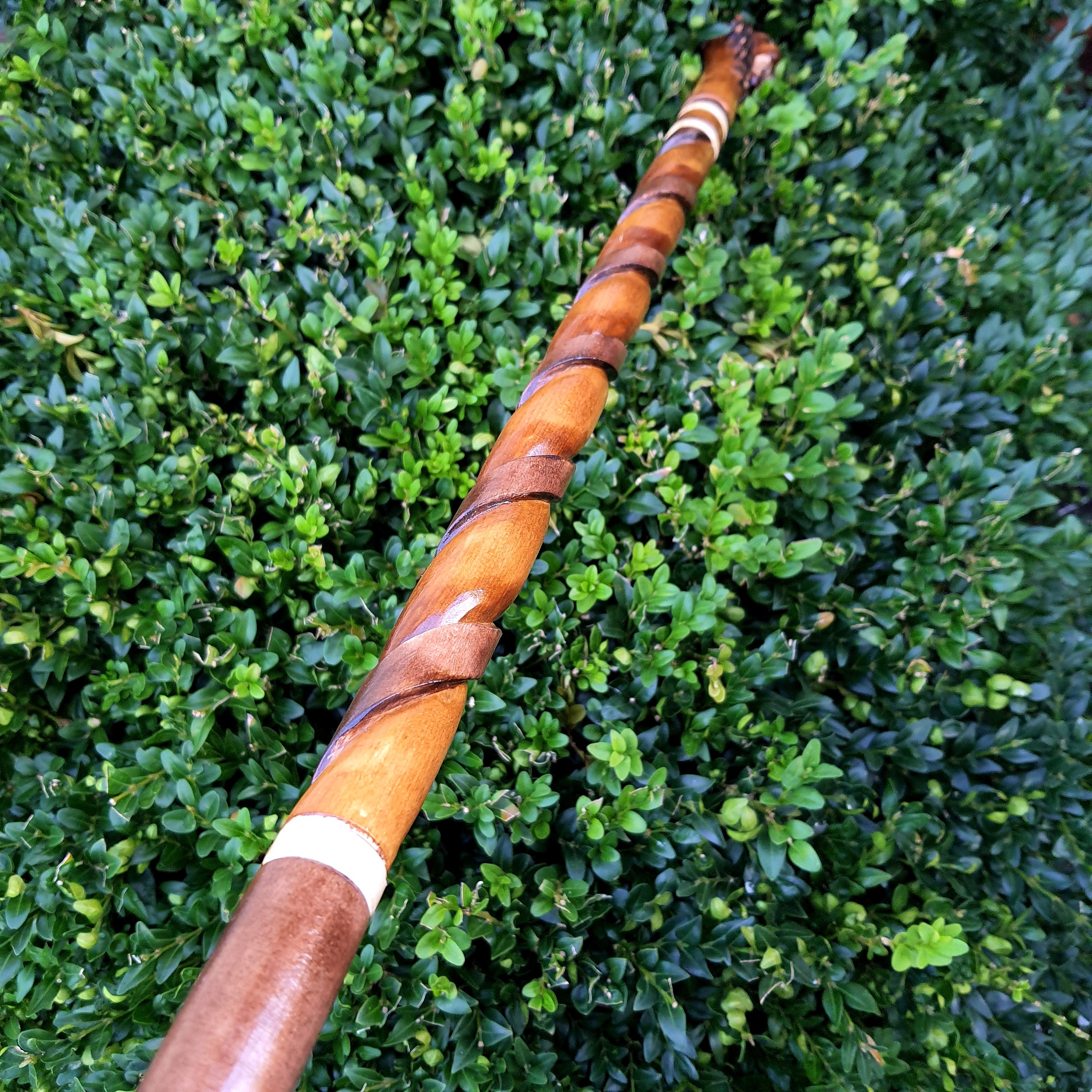 Cane Walking Stick Canes Sticks Reed Staff Wood Wooden | Etsy