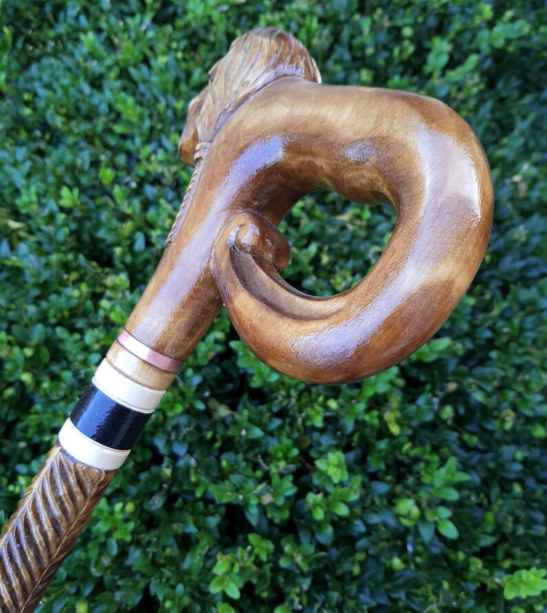 Cane Walking Stick Canes Sticks Reed Staff Wood Wooden Etsy