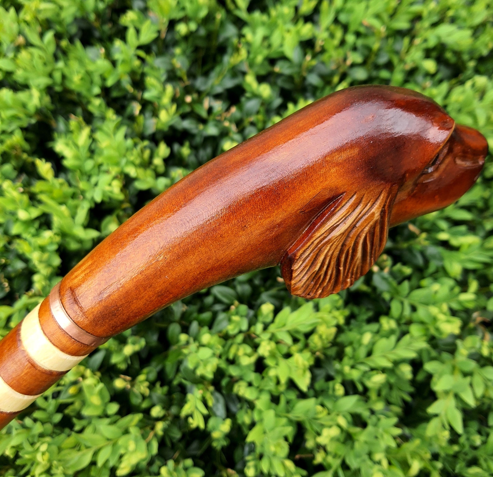 Walking Stick Canes Reed Wood Wooden Handcarved Carving Handmade Cane