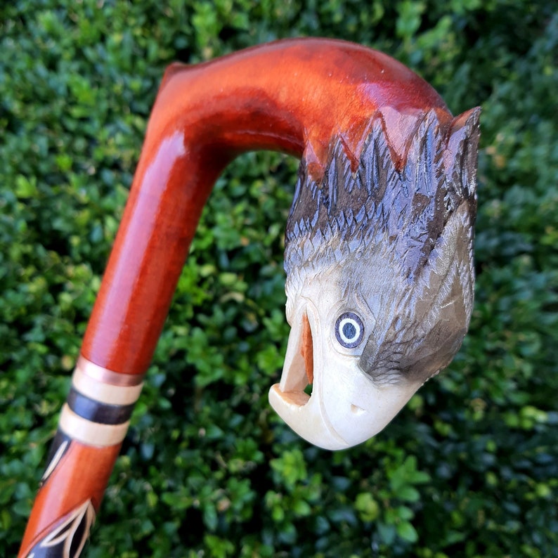 May include: A wooden walking stick with a carved bird head at the top. The bird has a detailed face with a large eye and an open beak. The stick is painted with black and white stripes.