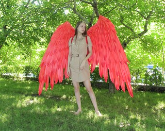 red wings fancy dress