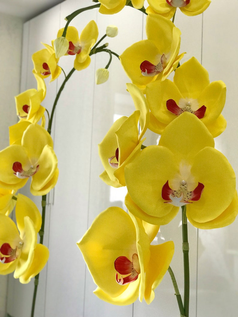 Giant Paper FlowerFoam flowersorchidgiant flowersPremium Etsy