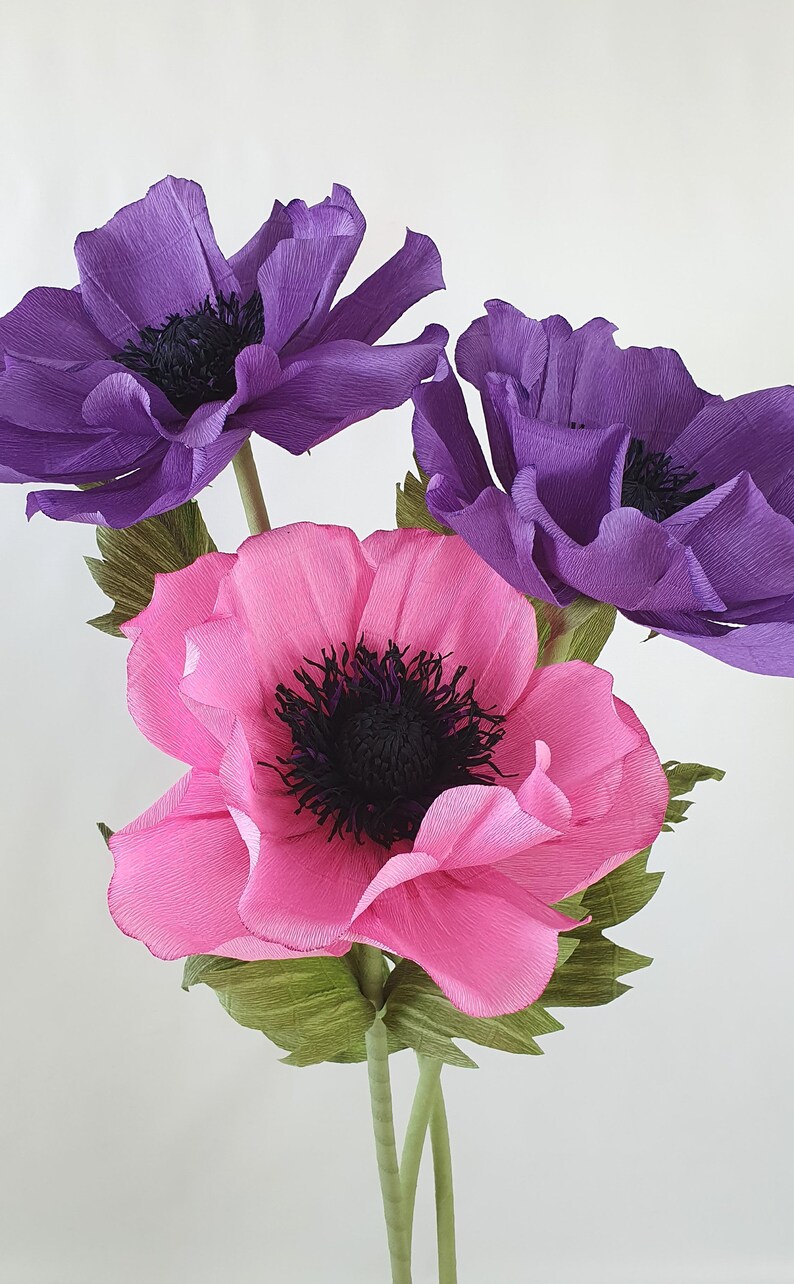 Giant paper poppy large poppy poppy flowers large flowers Etsy