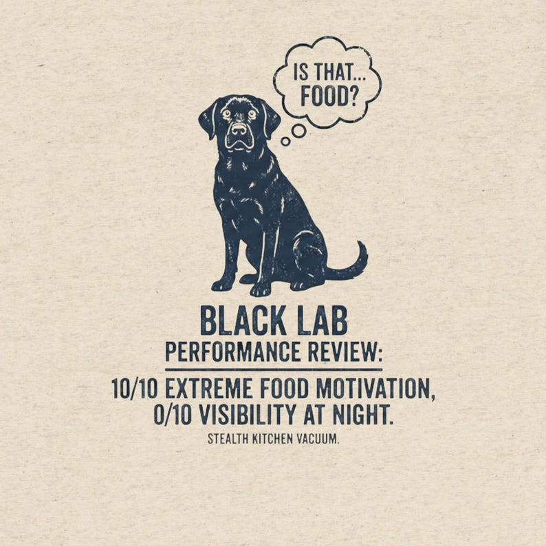 Funny Black Lab Shirt, Black Dog Owner Gift, Black Labrador T-Shirt, Funny Dog Mom Tee, Stealth Dog Humor, Dog Dad Gift, Pet Lover Graphic