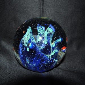 Murano Art Glass Fish Aquarium 5&quot; X 5&quot; Tetra Fish Coral Reef ( CONTACT SELLER Before PURCHASING)