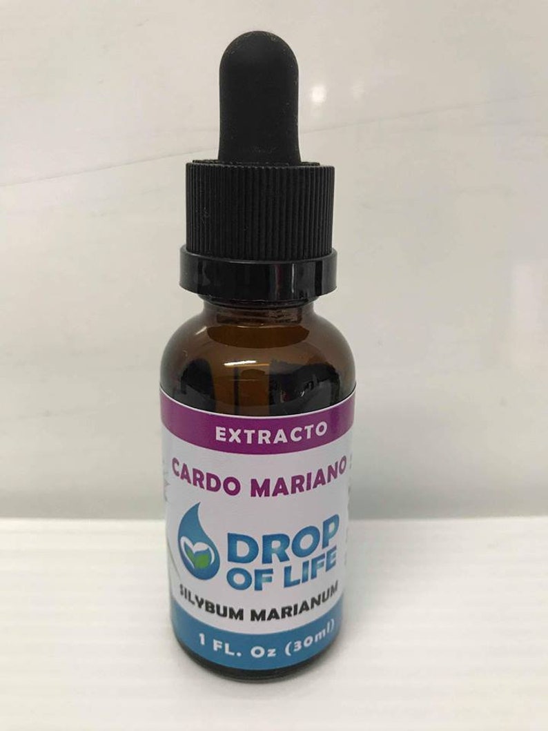 Organic Cardo Mariano milk Thistle Tincture Liquid Extract Etsy