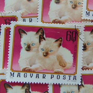 Francobolli postali vintage gattino / 6 francobolli postali / Effimeri postali per riviste, collezionismo, posta lumaca