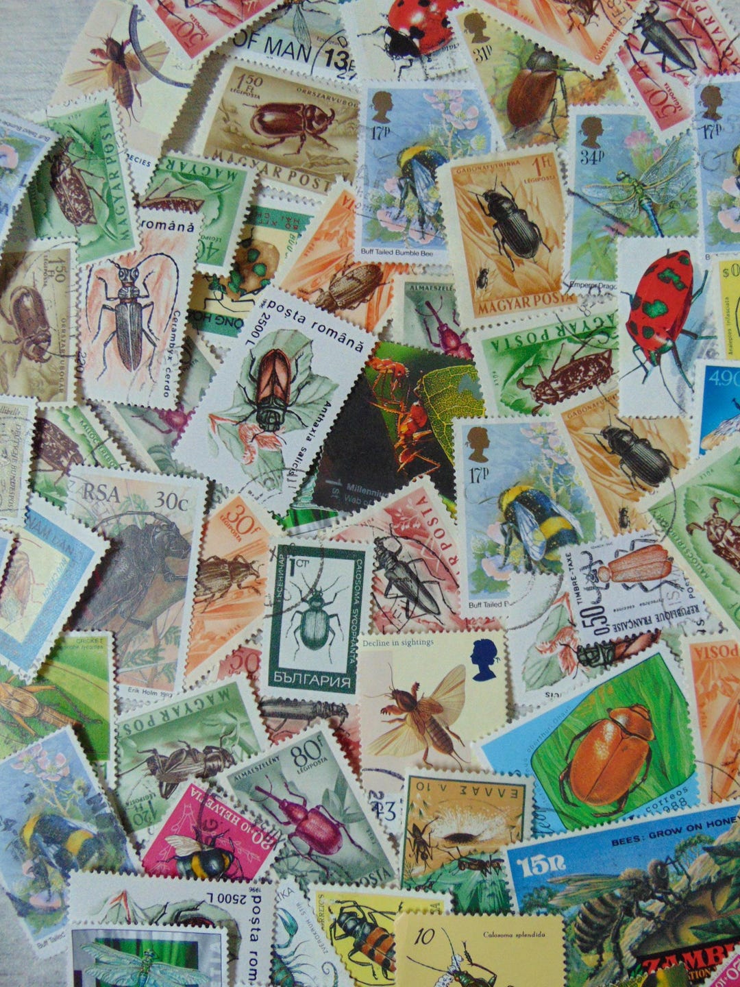 10 Randomly Picked INSECT Stamps | Snail Mail | Scrapbooking | Journals ...