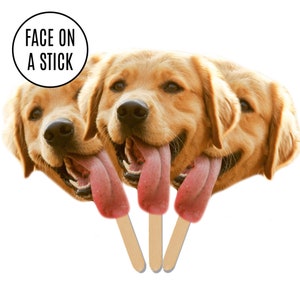 Recortes de cabeza grande con forma de cara en un palo, decoración para fiesta de cumpleaños de perro y gato, recorte de cara de cabeza gorda, abanico de bienvenida a casa para despedida de soltera, divertidos obsequios para fiestas