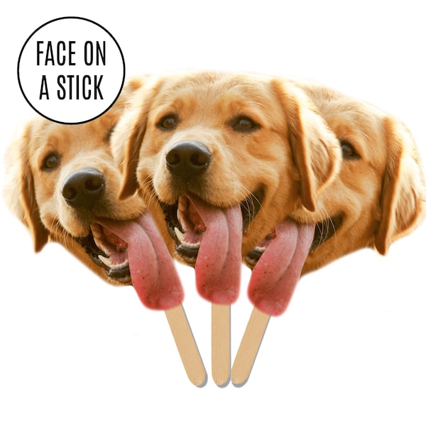 Face on A Stick Big Head Cutouts Pet Dog Cat Birthday Party Decor Fat Head Face Cutout Bachelorette Welcome Home Face Fan Funny Party Favors