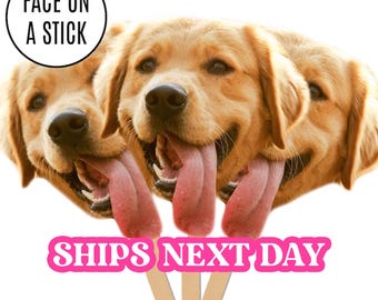 Face on A Stick Big Head Cutouts Pet Dog Cat Birthday Party Decor Fat Head Face Cutout Bachelorette Welcome Home Face Fan Funny Party Favors