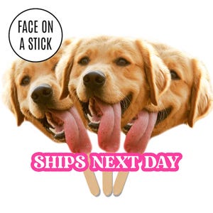 Face on A Stick Big Head Cutouts Pet Dog Cat Birthday Party Decor Fat Head Face Cutout Bachelorette Welcome Home Face Fan Funny Party Favors