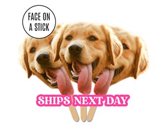 Face on A Stick Big Head Cutouts Pet Dog Cat Birthday Party Decor Fat Head Face Cutout Bachelorette Welcome Home Face Fan Funny Party Favors