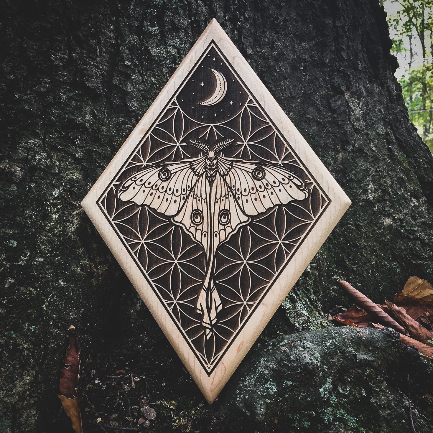 Luna Moth Engraved Solid Maple Wood Wall Art - Etsy