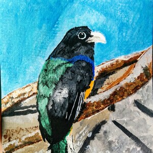 Puede incluir: Una pintura de acuarela de un pájaro con plumas negras, verdes y azules posado en una rama. El pájaro tiene un pico blanco y una franja amarilla en el pecho. El fondo es azul claro.