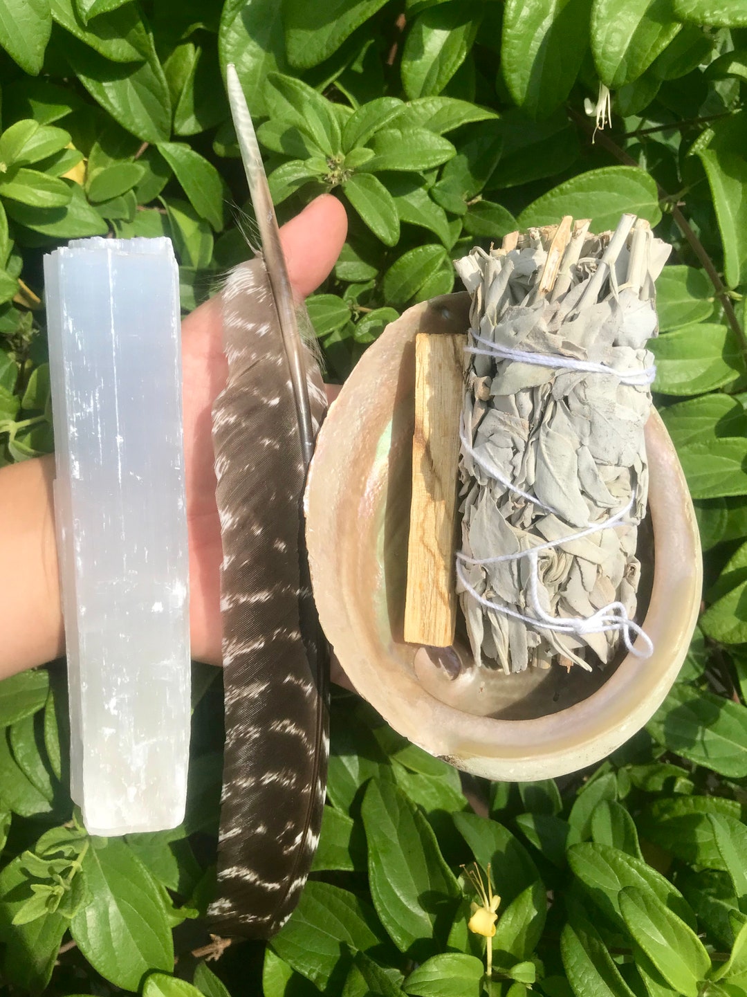 Energy Cleansing Smudge Kit With Abalone Shelloptional Palo Etsy