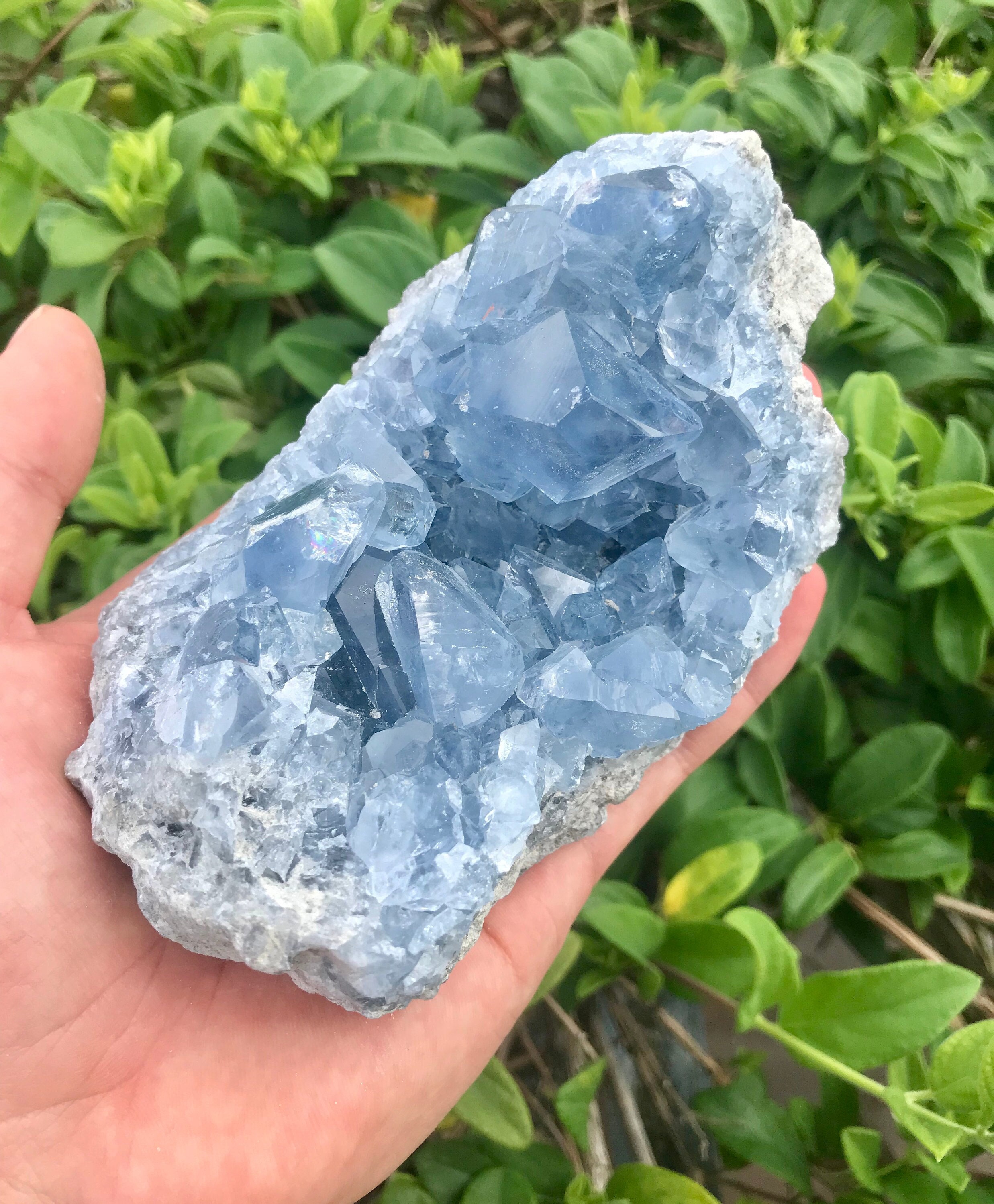 1/4 pound lbs of blue Celestite crystal geodes per lot 