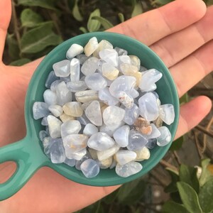Puede incluir: Un peque&ntilde;o cuenco de color verde azulado lleno de virutas de &aacute;gata azul y blanca. El cuenco est&aacute; en la palma de una mano.