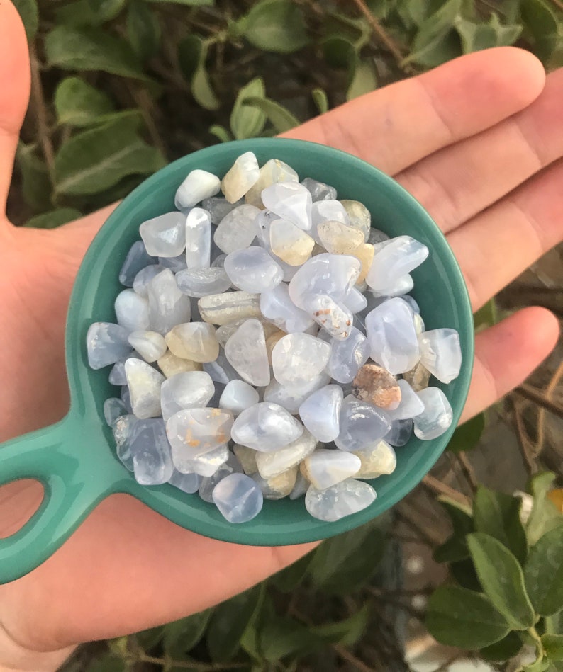 Puede incluir: Un peque&ntilde;o cuenco de color verde azulado lleno de virutas de &aacute;gata azul y blanca. El cuenco est&aacute; en la palma de una mano.