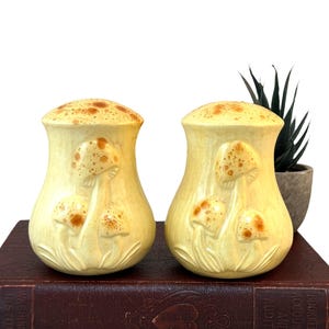Vintage Mushroom Salt and Pepper Shakers, Arnel&#39;s Ceramic Hobbiest Pieces, Tan Drip Glaze, 1970&#39;s Kitschy Decor