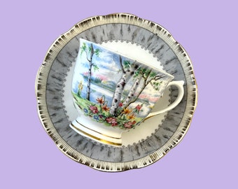 Vintage Royal Albert Silver Birch Teacup and Saucer, Pretty Forest Scene, Tree Bark Border, Bone China Made in England