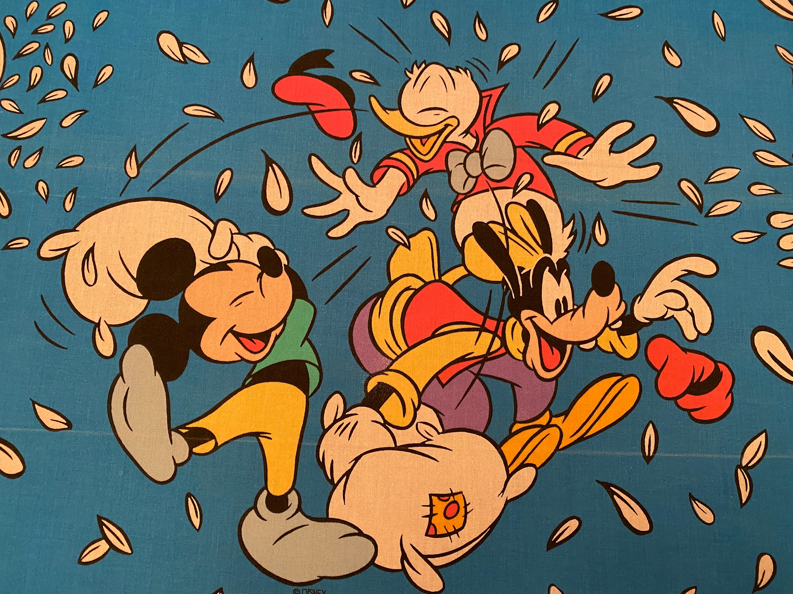 Donald duck bed sheets hotsell