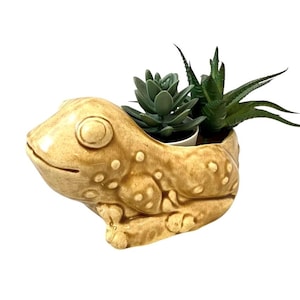 Vintage Frog Planter, Ceramic Toad Plant Pot, Cactus, Succulents, Houseplants, Boho Earth Tone Nature Decor