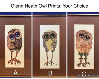 Vintage Glenn Heath Owl Prints, Framed Big Eye Bird Portraits, 1970's Art: Choose Your Style