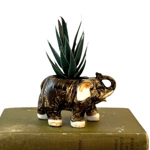 Vintage Elephant Planter, 4.5&quot; Mini Ceramic Indoor Container for Succulents, Trunk Up Good Luck, Air Plants, Made in Japan