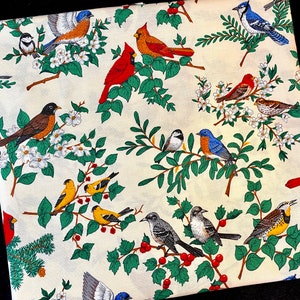 Bird Fabric, Songbird Quilting Cotton, Birds Print Poplin Material, Sewing, Crafting