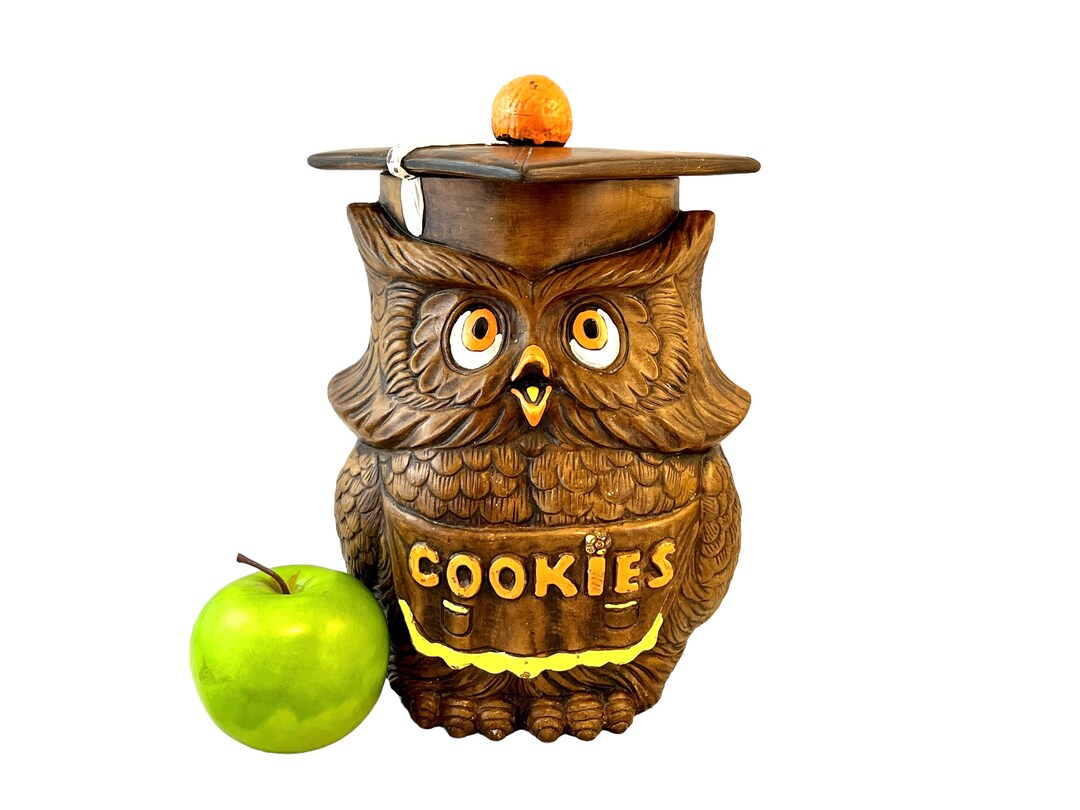 Vintage Wise Owl Cookie Jar, Treasure Craft Ceramic Canister, 1970's