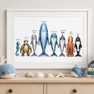 Ocean Animal Wall Art, Sea Animals Poster, Kids Ocean Nursery Decor, Whale Shark Dolphin Print, Marine Life Educational Chart, Printable Wal