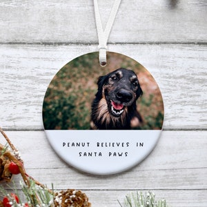Personalised Dog Christmas Decoration, Dog Christmas ornament, Cat Christmas ornament, Custom Pet Photo Ornament, Photo Bauble