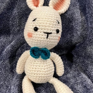 Bunny with a Bow tie