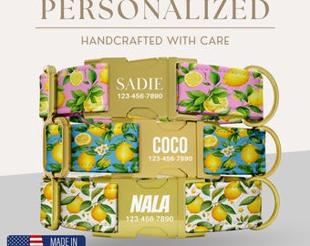 Collar de perro personalizado, collar de perro con limón, accesorio para mascotas con temática de frutas, collar de cachorro de verano con cítricos, ajustable, lindo, collares para perros de niña