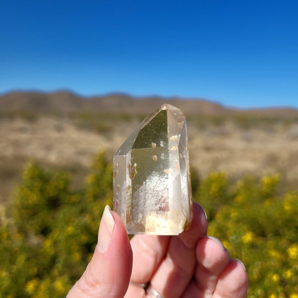 Golden Healer Chlorite Garden Quartz Crystal, Shaman's Dream Quartz, Phantoms and Iron, Powerful EMF Protection, Healing Crystal