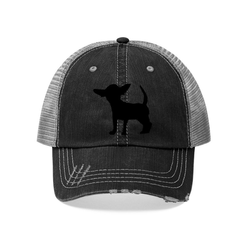 chihuahua baseball hat