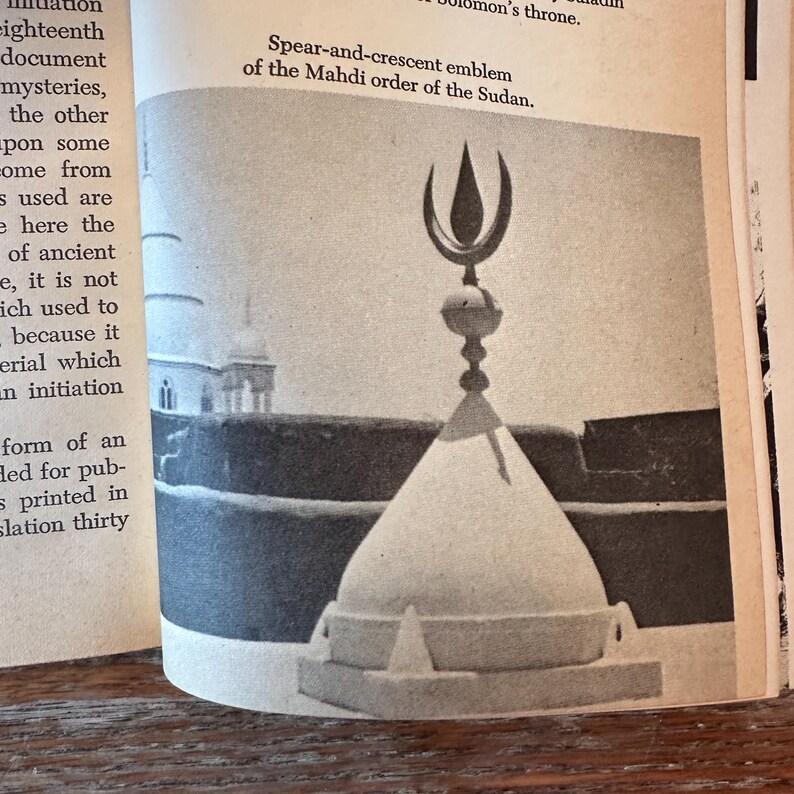 A History of Secret Societies by Arkon Darual 1969 Occult Paperback GOOD image 5