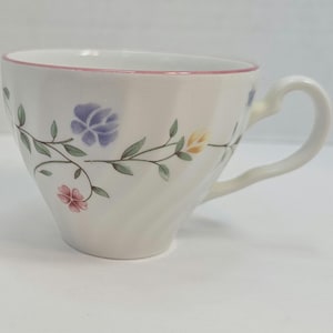 Summer Chintz by Johnson Brothers Tea Cup